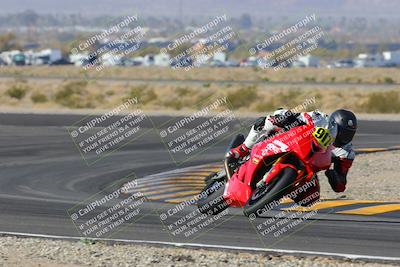 media/Feb-04-2023-SoCal Trackdays (Sat) [[8a776bf2c3]]/Turn 11 (945am)/